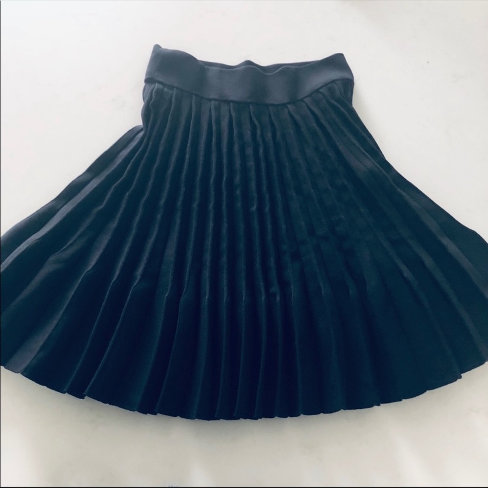 Maje Skirt